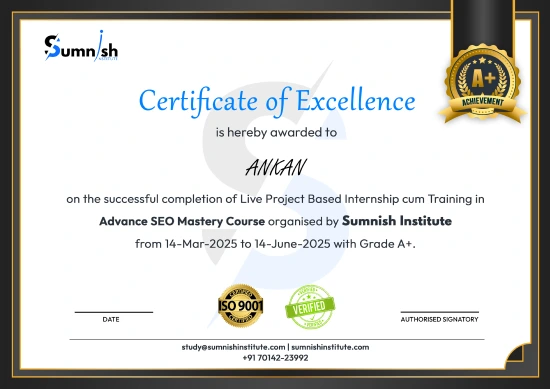 Seo Course in Jaipur